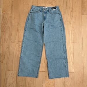 Abercrombie ultra loose low-rise jean